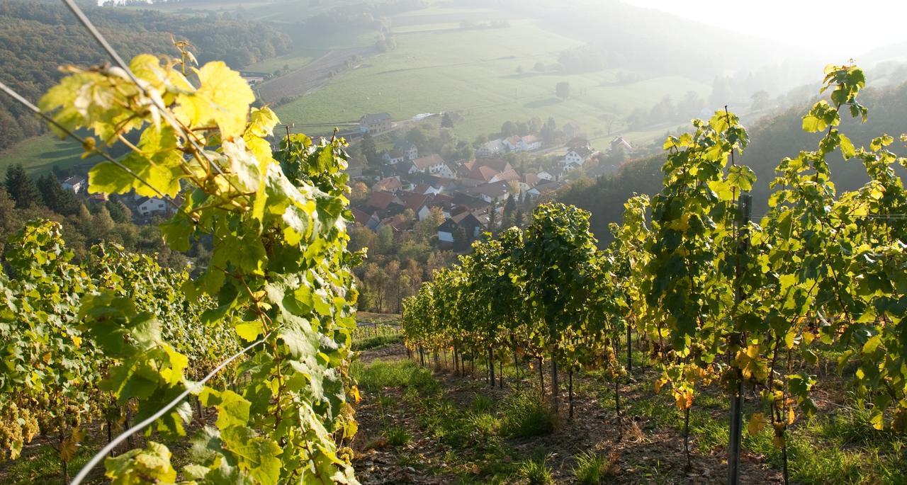 Weingut Hees - Landgasthof Zum Jaeger Aus Kurpfalz Отель Auen