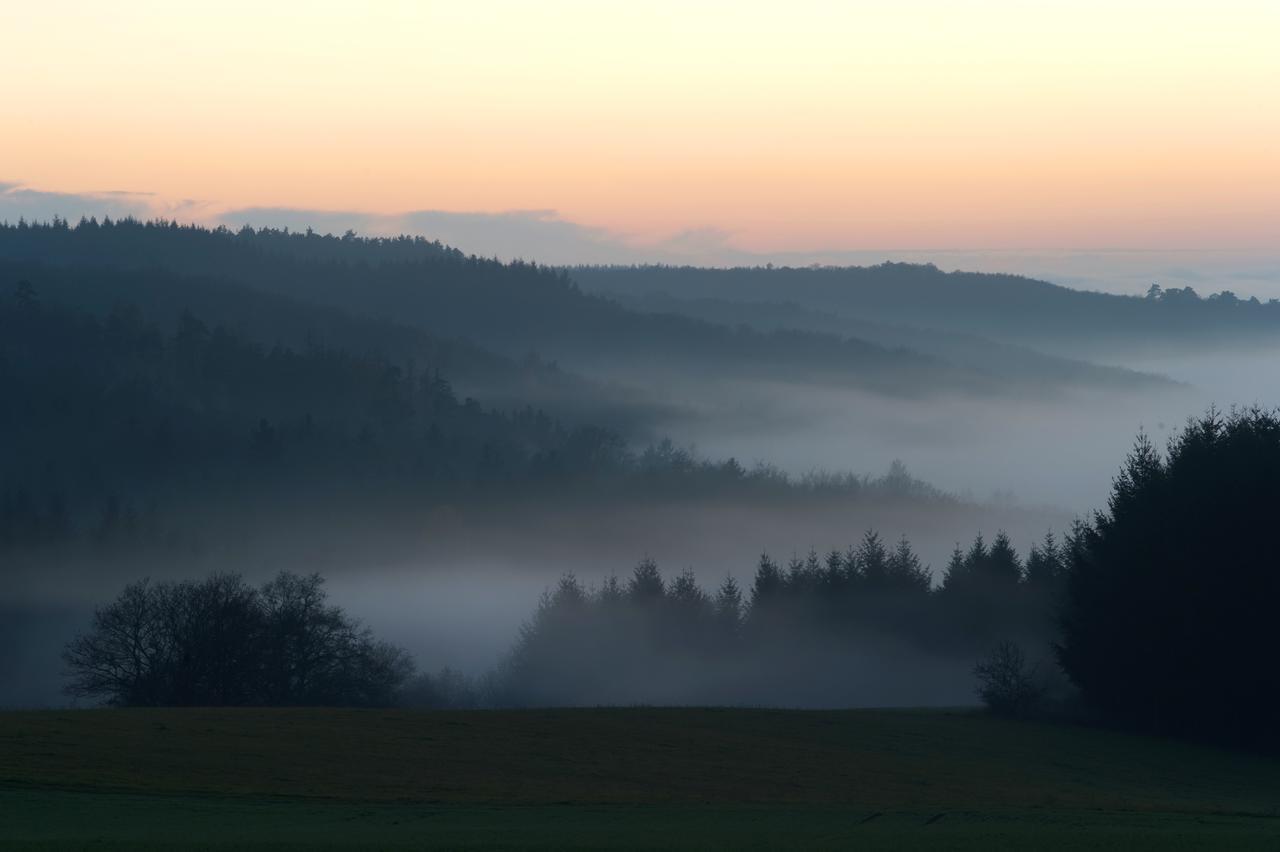 Weingut Hees - Landgasthof Zum Jaeger Aus Kurpfalz Auen