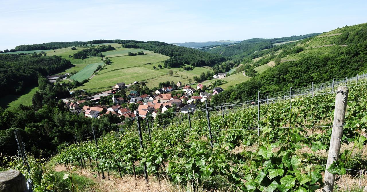 Weingut Hees - Landgasthof Zum Jaeger Aus Kurpfalz 3*