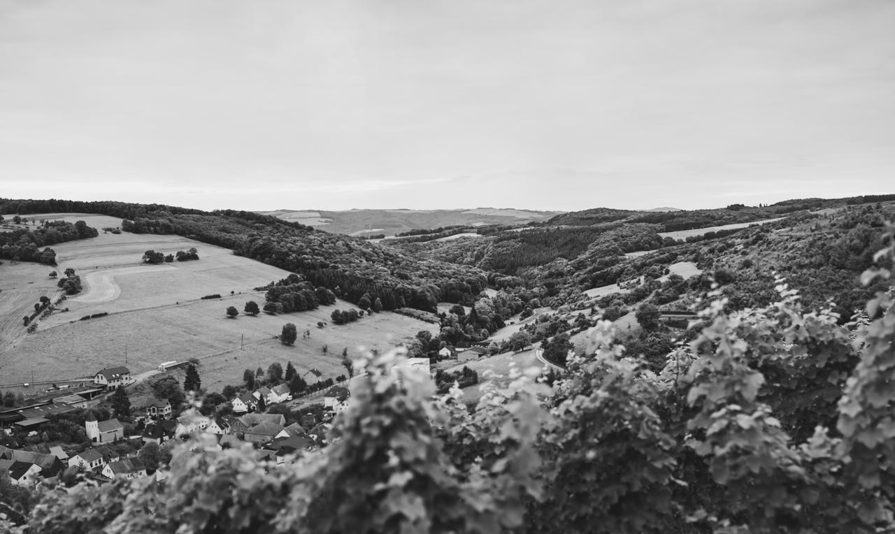 Weingut Hees - Landgasthof Zum Jaeger Aus Kurpfalz Auen